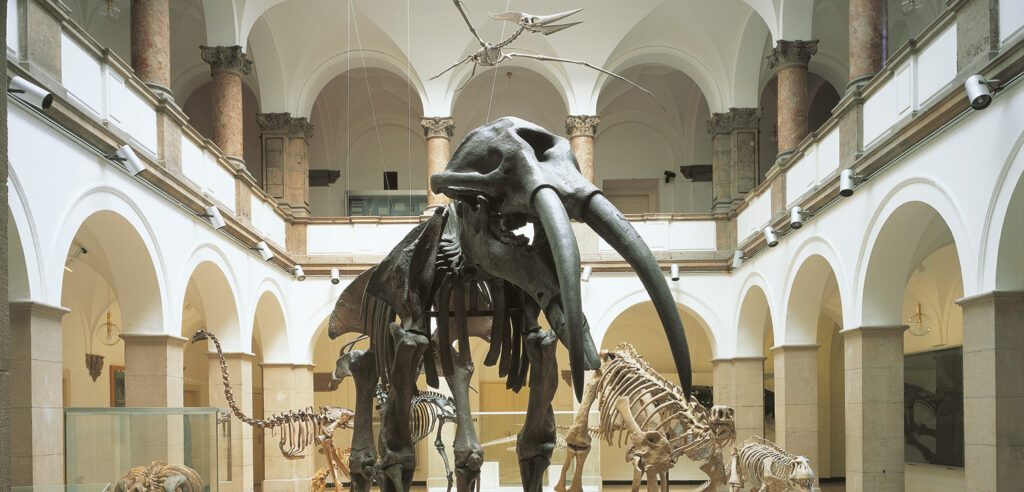 Paläontologisches Museum