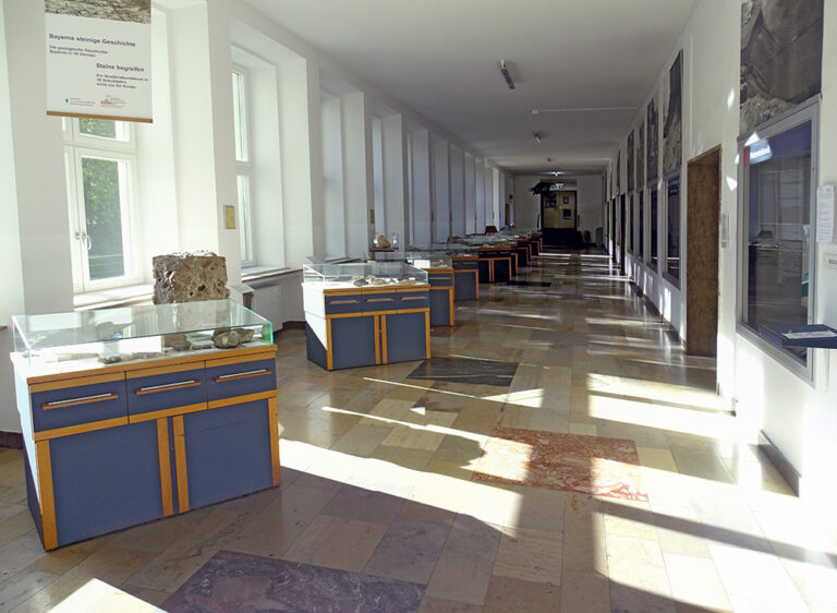 Geologisches Museum München I Bayerische Staatssammlung Für ...